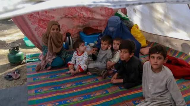 Perjuangan Menyalurkan Bantuan Pangan untuk Anak-Anak Afghanistan di Tengah Konflik dan Krisis Perbatasan
