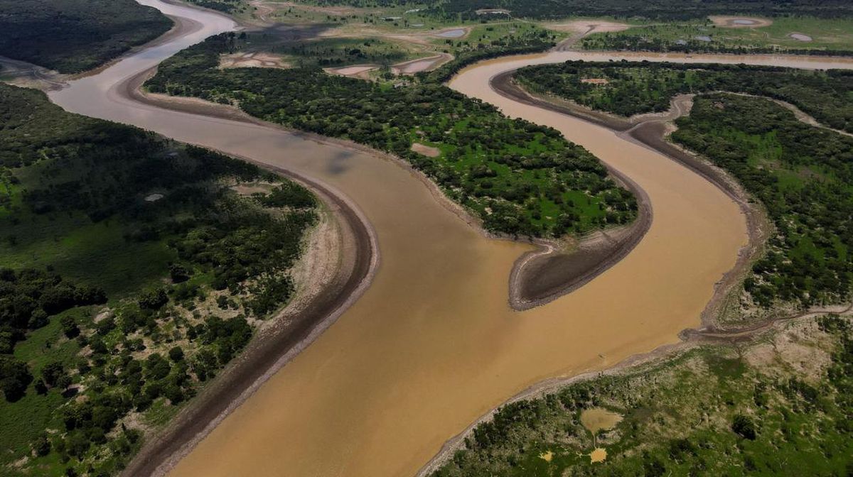 Fakta Menarik Sungai Amazon yang Menakjubkan